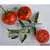 Heinz VF Tomato thumbnail 3