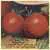 Early Bird Tomato thumbnail 2