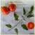 De Barao Polosatyi Tomato thumbnail 1