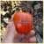 De Barao Polosatyi Tomato thumbnail 4