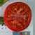 Pritchard (Scarlet Topper) Tomato thumbnail 2