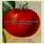 Chalk's Early Jewel Tomato thumbnail 5