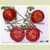 Livingston's Beauty Tomato thumbnail 7