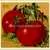 Livingston's Dwarf Stone Tomato thumbnail 7