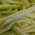Golden Wax Improved (aka Topnotch) Bush Snap Garden Bean thumbnail 3