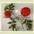 Livingston's Dwarf Stone Tomato thumbnail 2