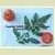 Chalk's Early Jewel Tomato thumbnail 2