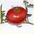 Livingston's Beauty Tomato thumbnail 1