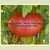 Livingston's Beauty Tomato thumbnail 6